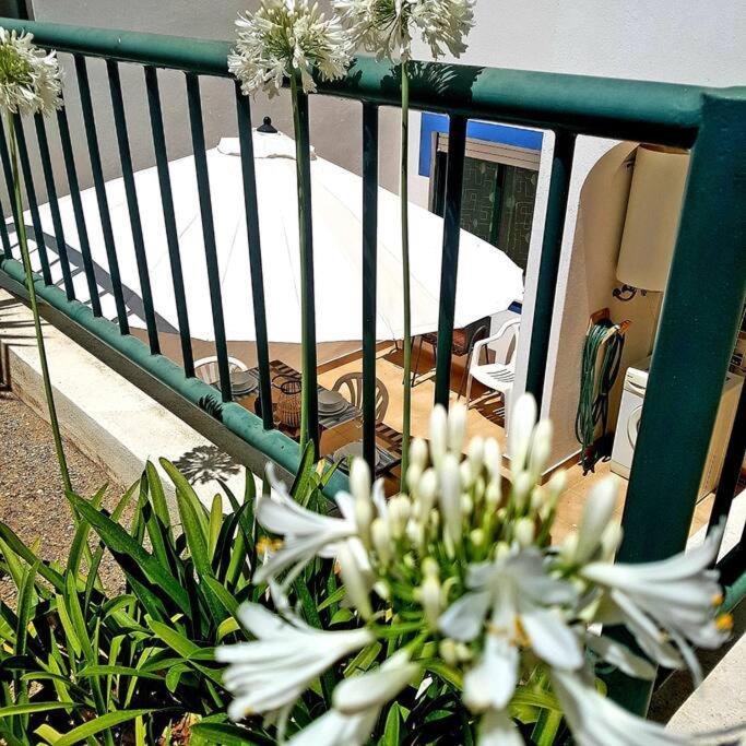Apartamento Encantador A 100M Da Praia Carvoeiro  Exteriör bild
