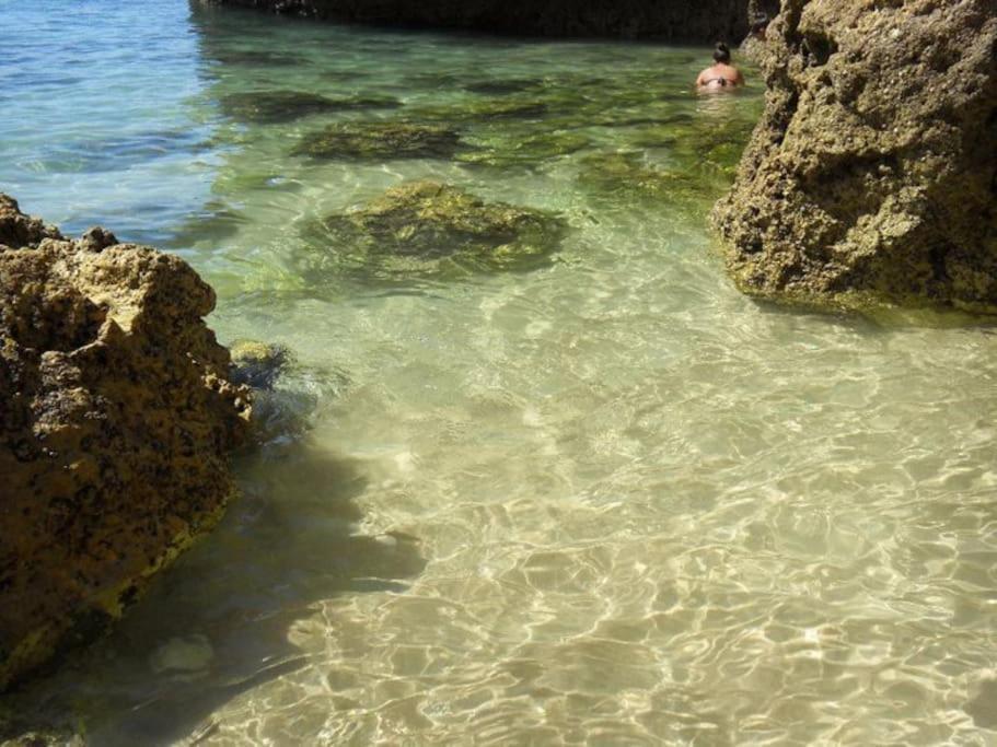 Apartamento Encantador A 100M Da Praia Carvoeiro  Exteriör bild